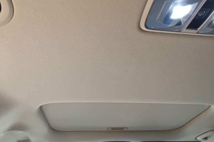 Used Kia Carnival 2021 2.0T Luxury Tech Edition Headliner