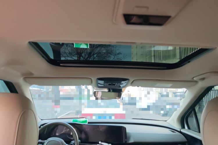 Used Kia Carnival 2021 2.0T Flagship Edition Headliner