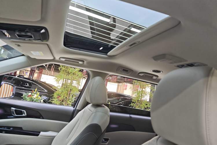 Used Kia Carnival 2021 2.0T Flagship Edition Interior 6