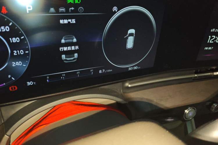 Used Kia Carnival 2021 2.0T Flagship Edition Odometer Close Up