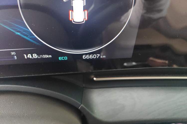 Used Kia Carnival 2021 2.0T Flagship Edition Odometer Close Up
