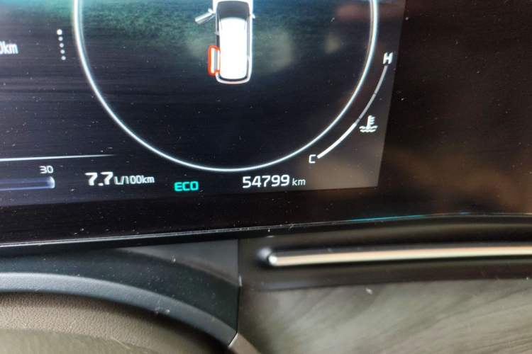 Used Kia Carnival 2021 2.0T Luxury Tech Edition Odometer Close Up
