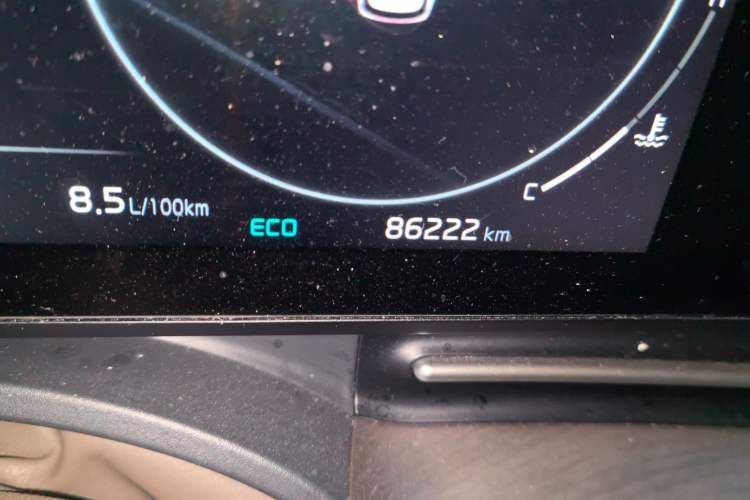 Used Kia Carnival 2021 2.0T Luxury Tech Edition Odometer Close Up