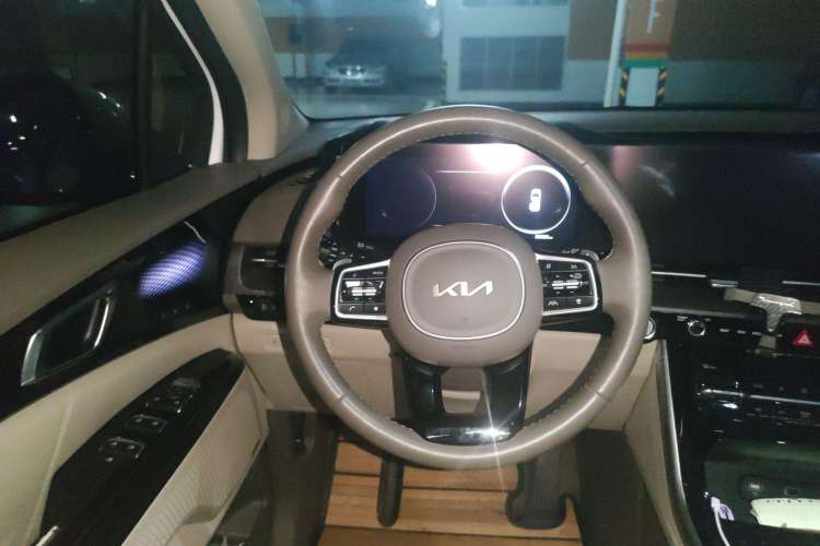 Used Kia Carnival 2021 2.0T Flagship Edition Steering Wheel