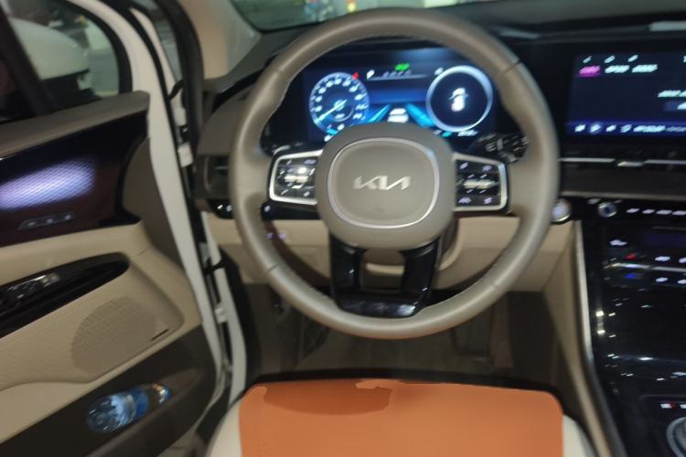 Used Kia Carnival 2021 2.0T Flagship Edition Steering Wheel