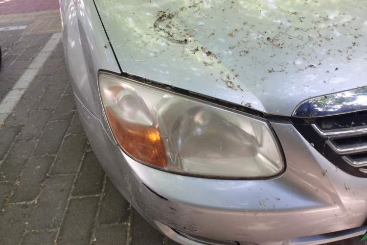 Used Kia Cerato 2010 1.6L MT GL Right Front Headlight