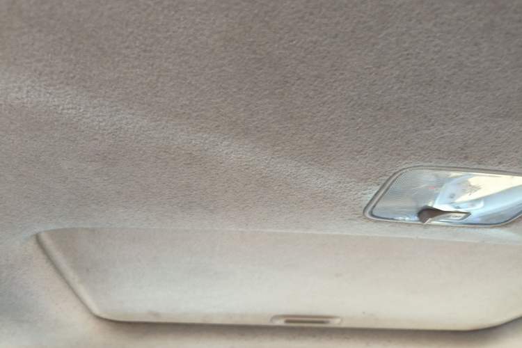 Used Kia Forte 2009 1.6L AT Premium Headliner