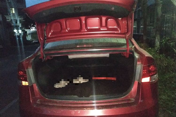 Used Kia Forte 2009 1.6L AT Premium Trunk
