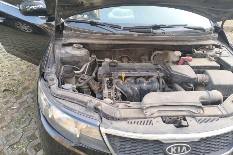 Used Kia Forte 2011 1.6L MT GL Engine Bay Right