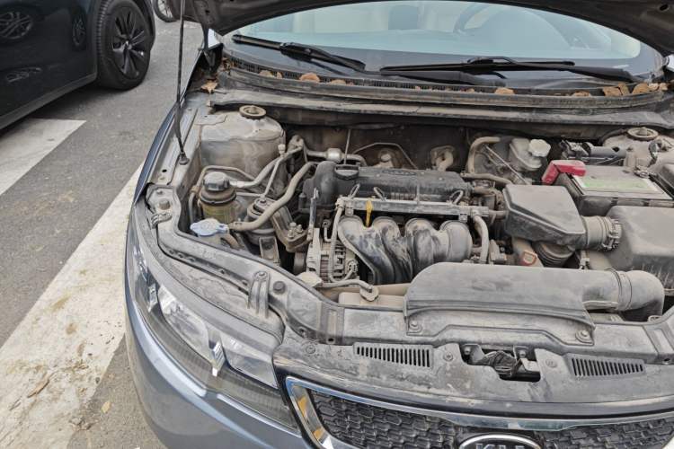Used Kia Forte 2011 1.6L AT Premium Engine Bay Right