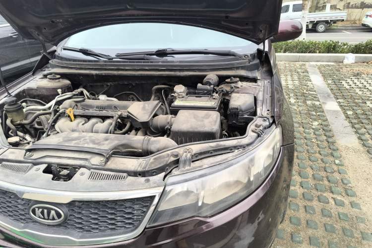 Used Kia Forte 2011 1.6L MT GL Engine Bay Left