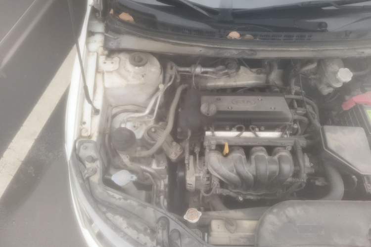 Used Kia Forte 2011 1.6L MT GLS Engine Bay Right