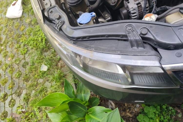 Used Kia Forte 2012 1.6L MT GL Commemorative Edition Right Front Headlight