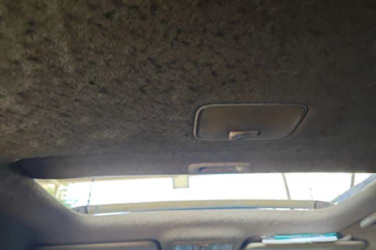 Used Kia Forte 2012 1.6L MT GLS Commemorative Edition Headliner