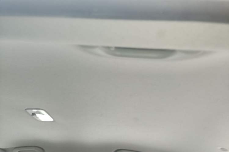 Used Kia Forte 2012 1.6L MT GL Commemorative Edition Headliner