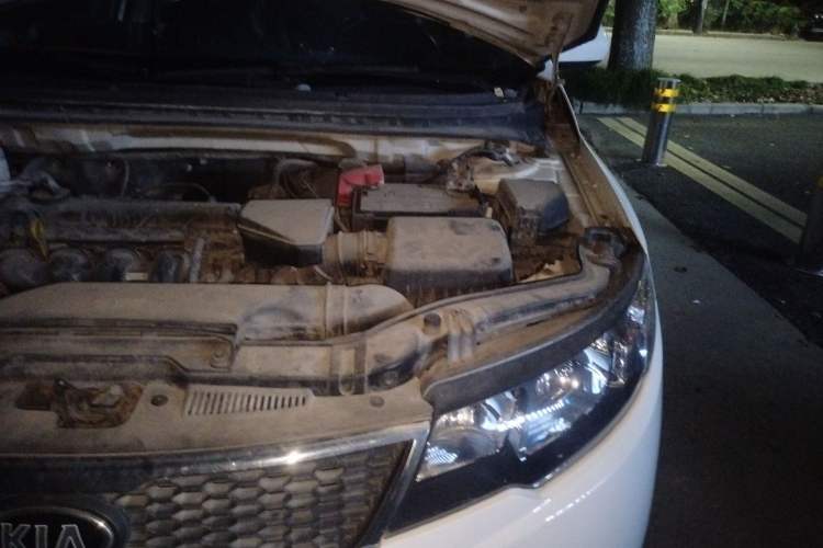 Used Kia Forte 2012 1.6L MT GL Commemorative Edition Engine Bay Left