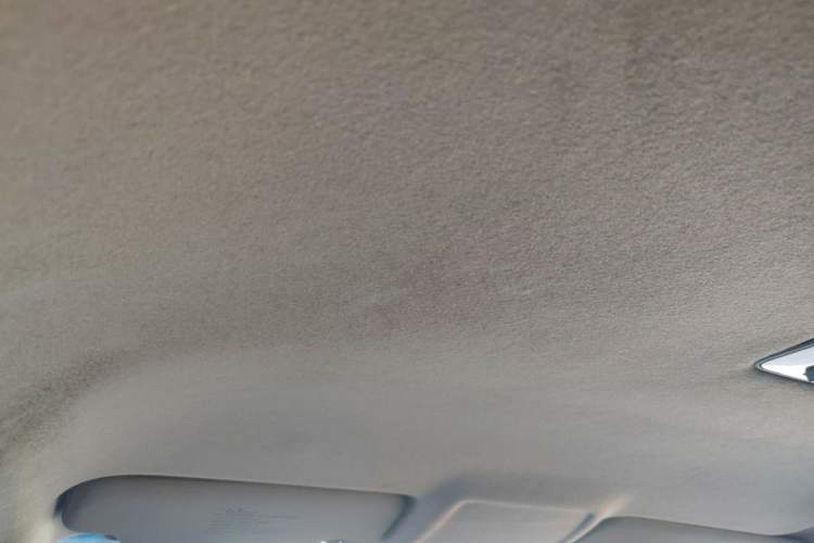 Used Kia Forte 2014 1.6L MT GL Headliner