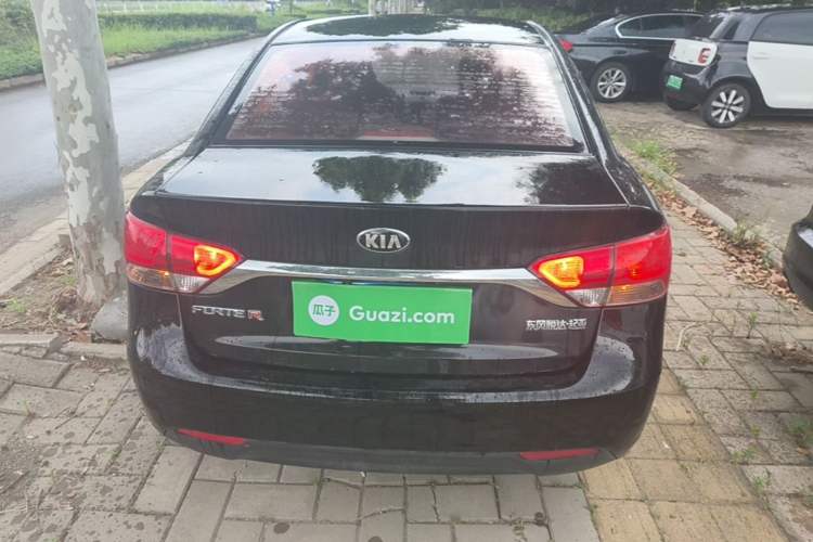 Used Kia Forte 2014 1.6L MT GL Rear