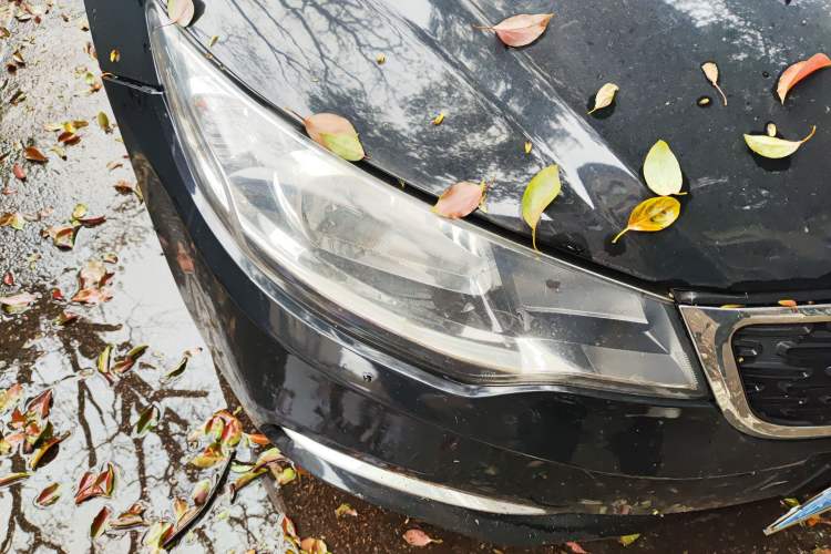 Used Kia Forte 2014 1.6L AT GL Right Front Headlight