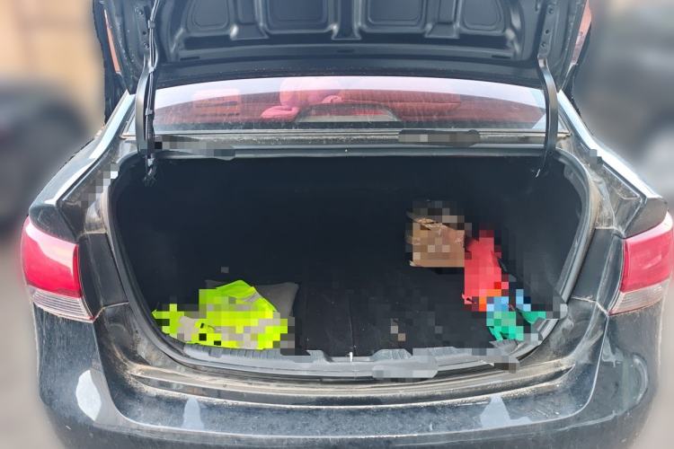 Used Kia Forte 2014 1.6L MT GL Trunk