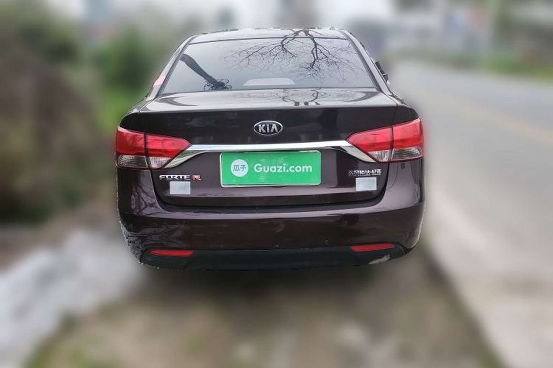 Used Kia Forte 2014 1.6L AT GL Rear