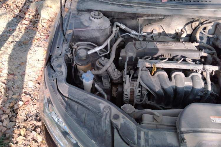 Used Kia Forte 2014 1.6L MT GLS Engine Bay Right