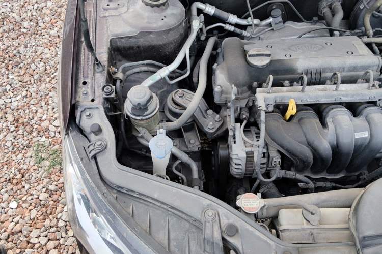Used Kia Forte 2014 1.6L MT GL Engine Bay Right
