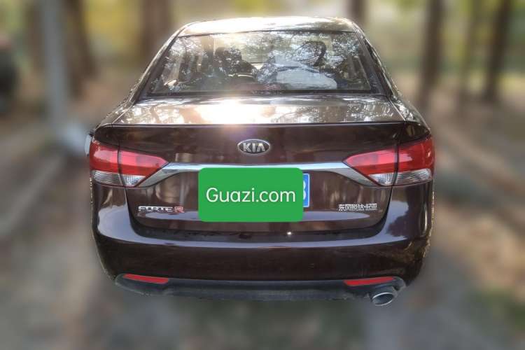 Used Kia Forte 2014 1.6L MT GLS Rear