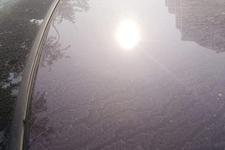 Used Kia Forte 2014 1.6L MT GL Roof