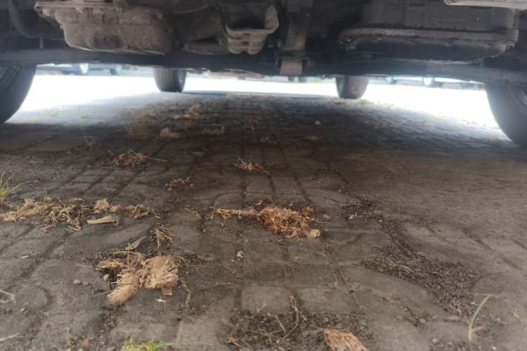 Used Kia Forte 2014 1.6L AT GLS Chassis Front