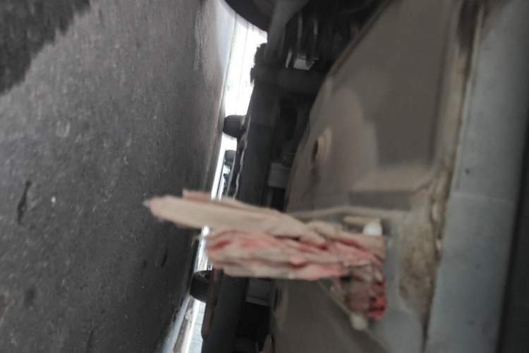 Used Kia Forte 2014 1.6L MT GLS Chassis Rear