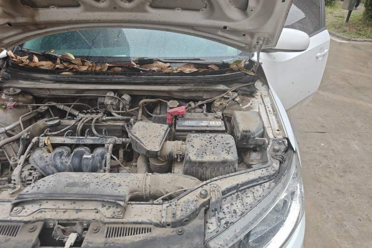 Used Kia Forte 2014 1.6L MT GL Engine Bay Left