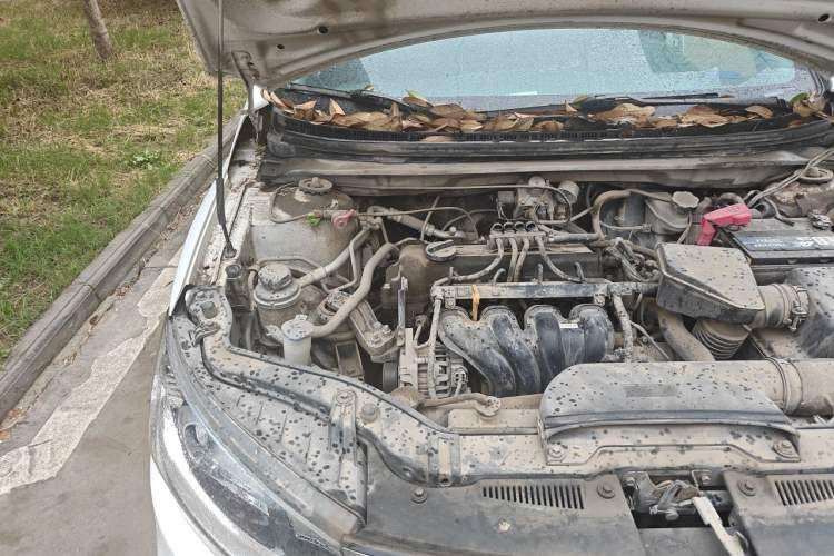Used Kia Forte 2014 1.6L MT GL Engine Bay Right