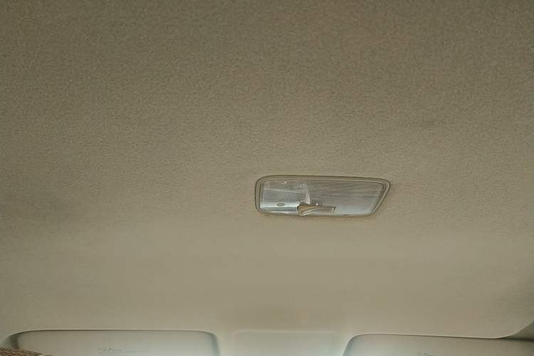 Used Kia Forte 2014 1.6L MT GL Headliner