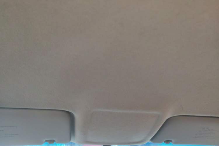 Used Kia Forte 2014 1.6L MT GL Headliner