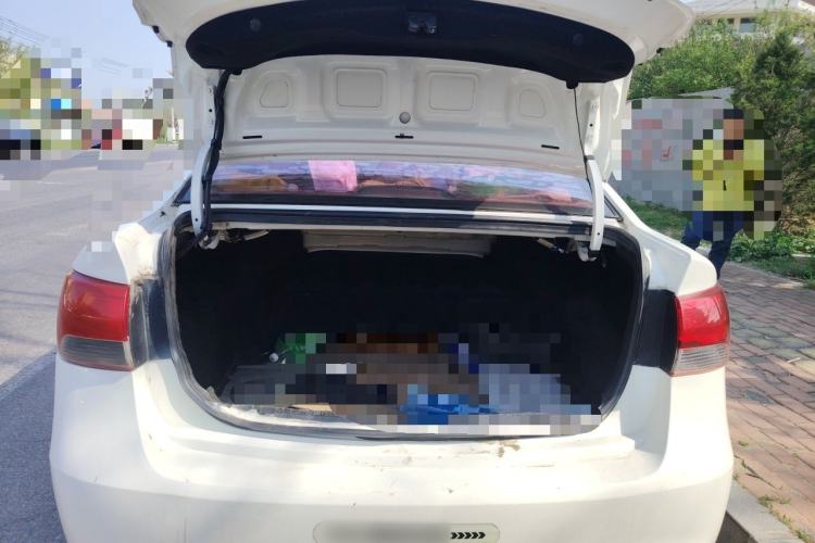 Used Kia Forte 2014 1.6L MT GL Trunk
