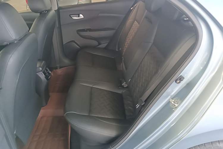 Used Kia Forte 2018 1.6L Automatic Value-Comfort Luxury Edition Left Rear Seat