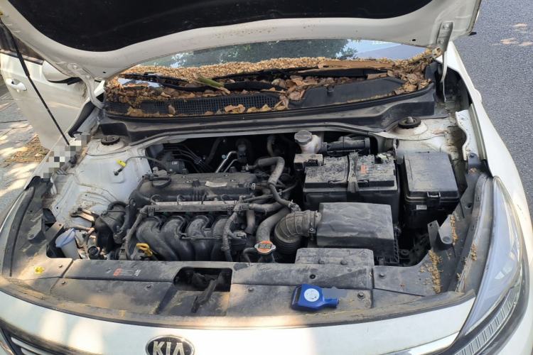 Used Kia Forte 2019 1.6L Automatic Fashion Edition China V Standard Engine Bay