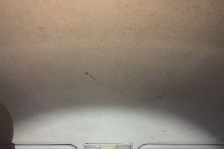 Used Kia K2 2012 Sedan 1.4L MT GLS Commemorative Edition Headliner
