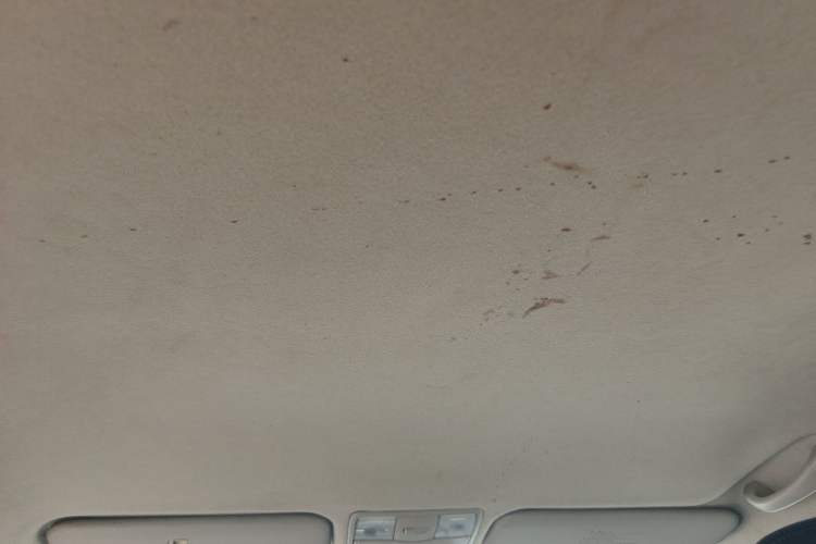 Used Kia K2 2012 Sedan 1.4L Automatic GLS Commemorative Edition Headliner