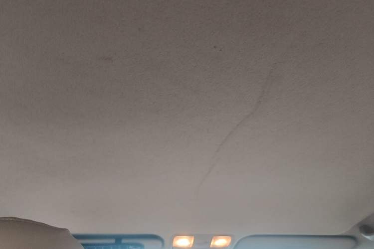Used Kia K2 2012 Sedan 1.4L MT GLS Commemorative Edition Headliner