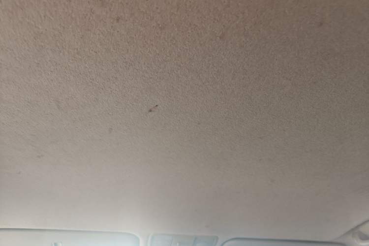 Used Kia K2 2015 Sedan 1.4L MT GLS Headliner