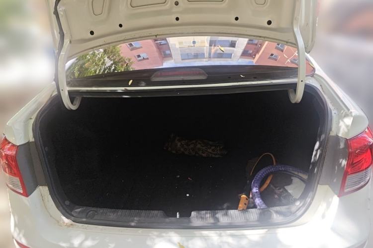 Used Kia K2 2015 Sedan 1.4L Automatic GLS Trunk