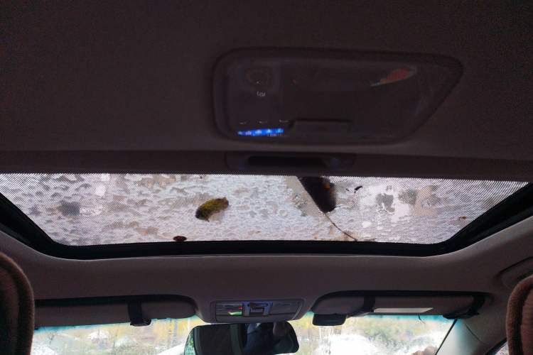 Used Kia K3 2013 1.6L Manual GLS Headliner