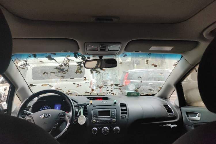 Used Kia K3 2013 1.6L Automatic GL Headliner