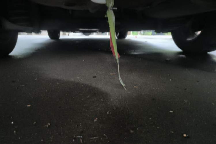 Used Kia K3 2013 1.6L Manual GLS Chassis Rear