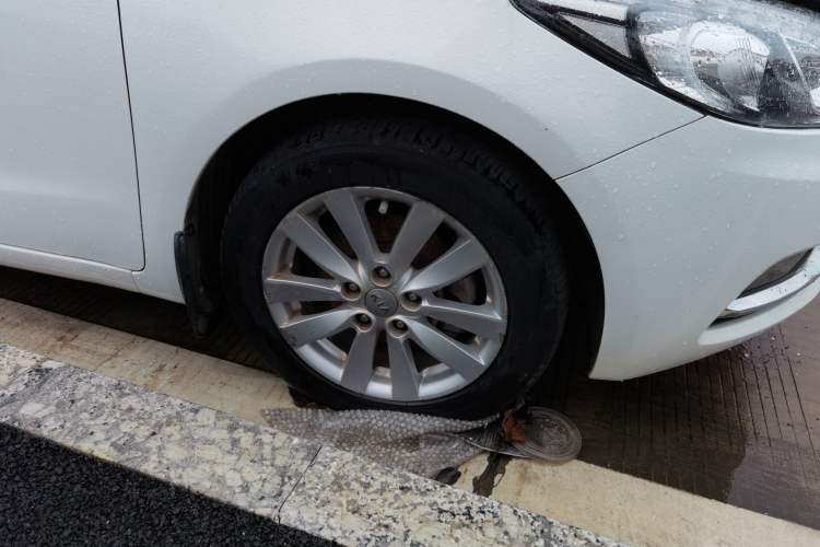 Used Kia K3 2013 1.6L Automatic DLX Right Front Wheel Hub