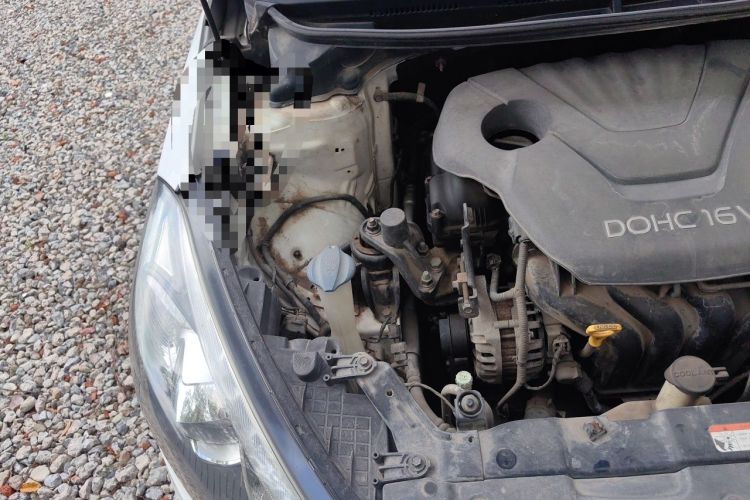 Used Kia K3 2015 1.6L Automatic GLS Engine Bay Right