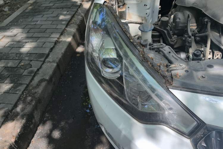 Used Kia K3 2015 1.6L Automatic GLS Right Front Headlight