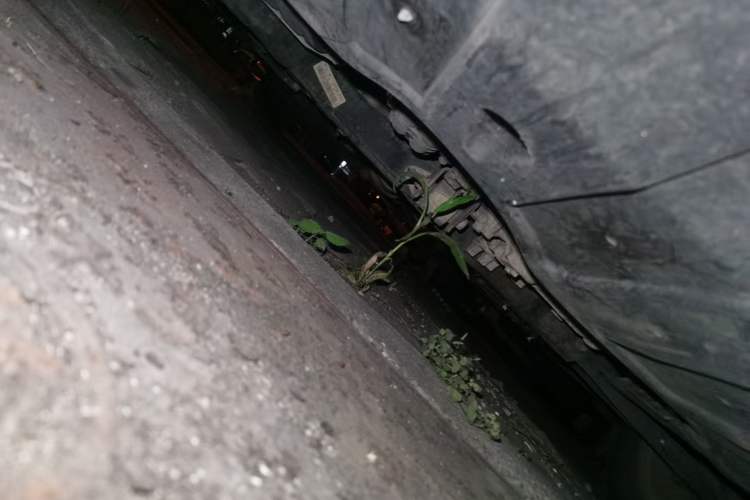 Used Kia K3 2016 1.6L Automatic GL Chassis Front